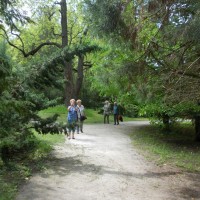 DSCN0424